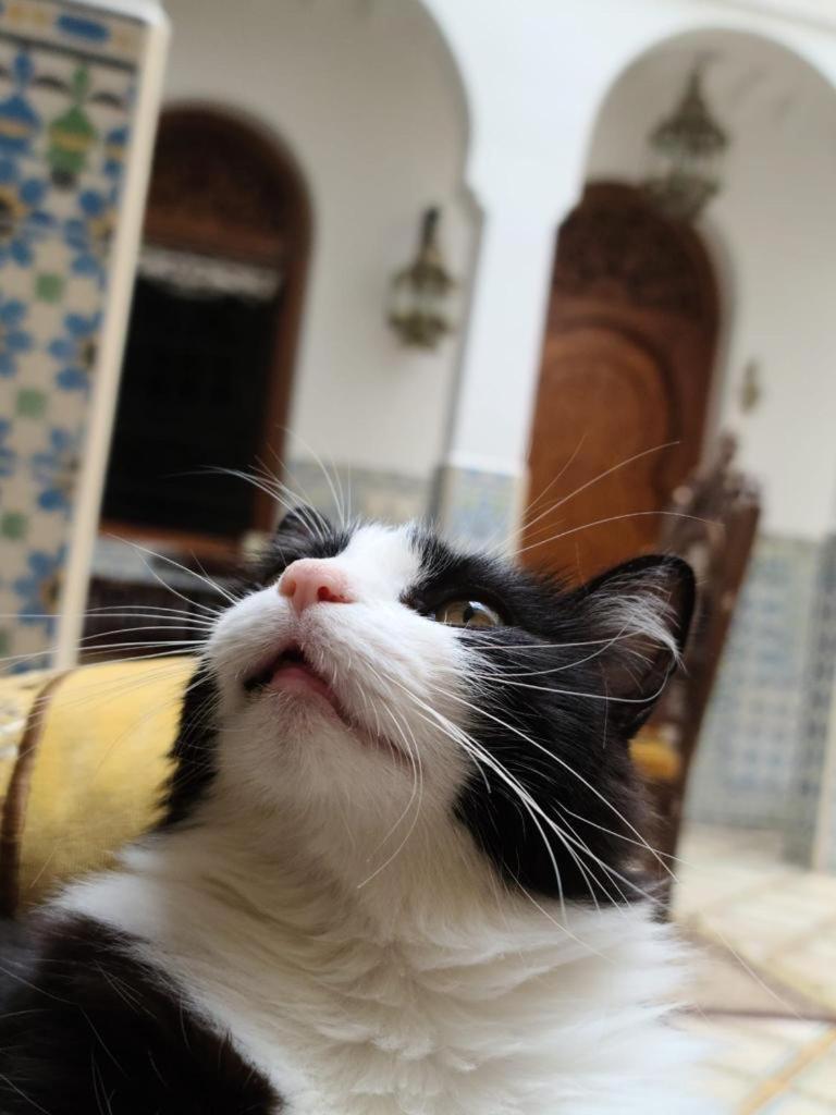 Riad Mouna Marakeş Dış mekan fotoğraf