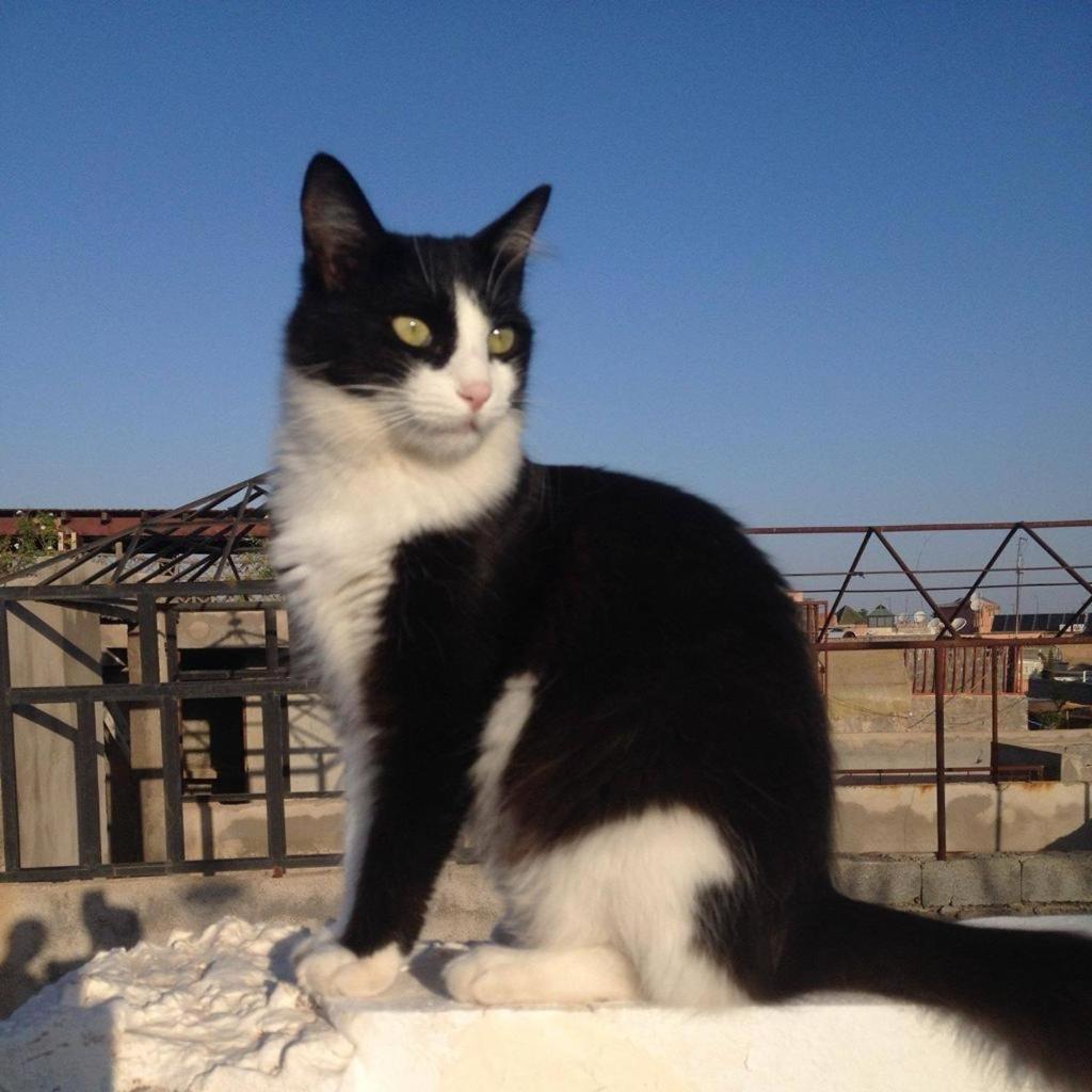 Riad Mouna Marakeş Dış mekan fotoğraf