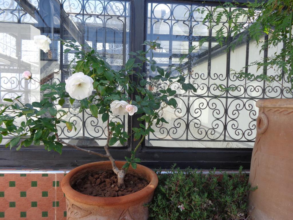Riad Mouna Marakeş Dış mekan fotoğraf